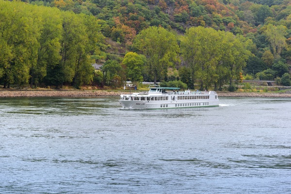 The Rhine Gone Wild : A lively cruise filled with legends, flavors, and good cheer (port-to-port cruise)